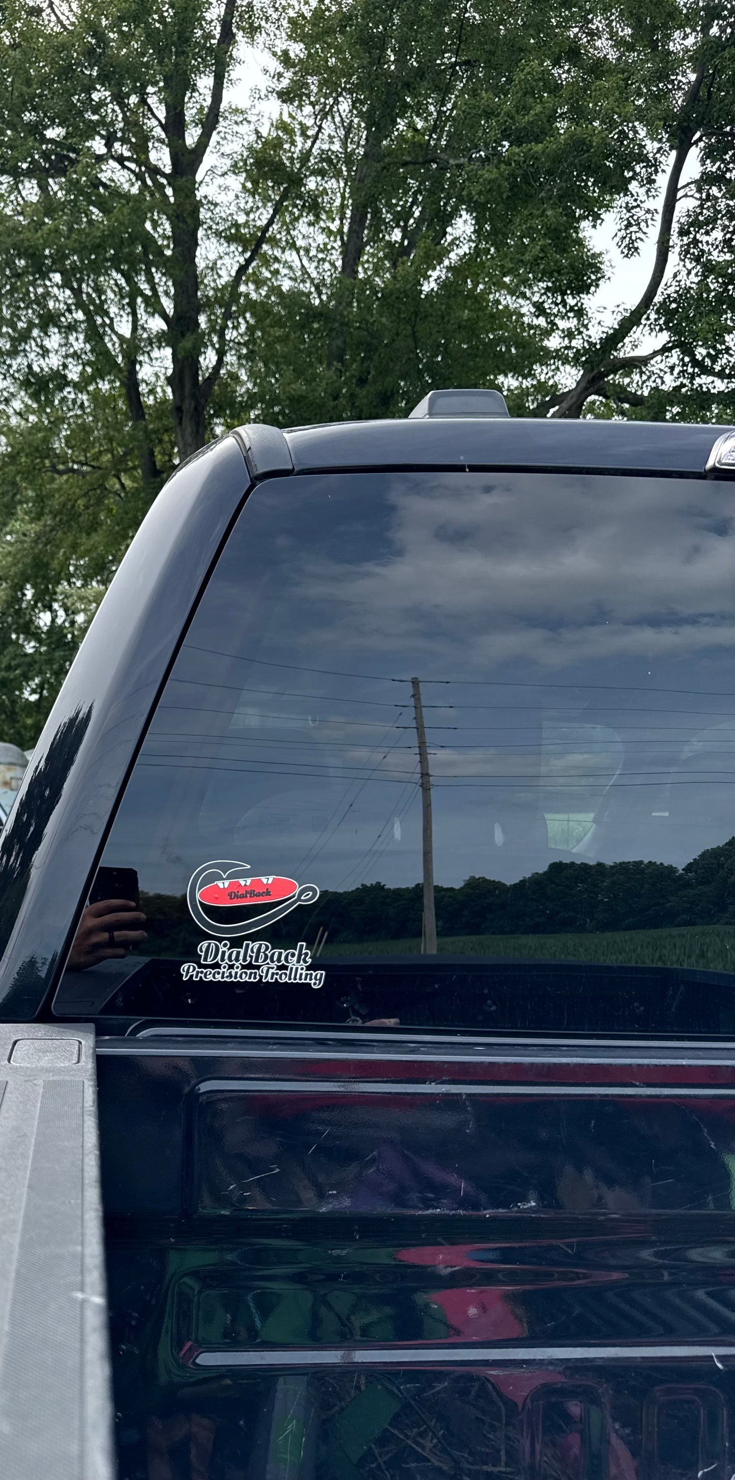 Vehicle decal