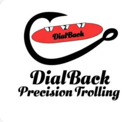 Vehicle decal